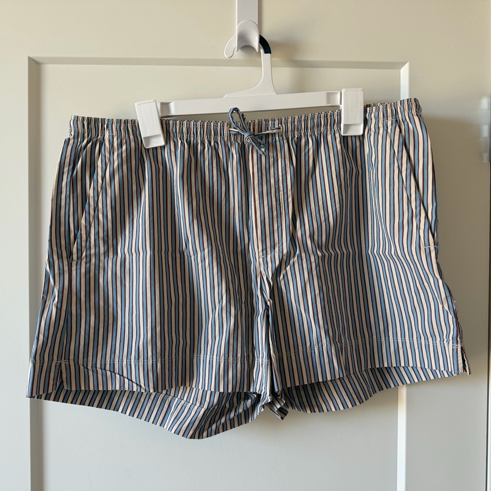 Blue & Brown Striped Shorts